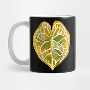 Anthurium King Clarinervium Variegated Mug